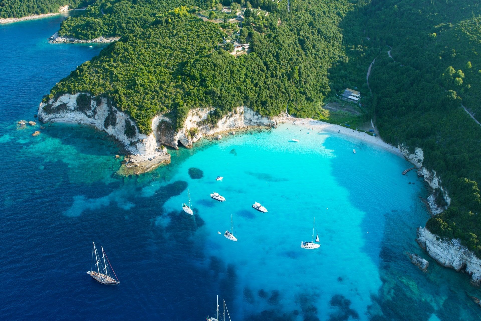 Sun, Sand, and Blue Flags