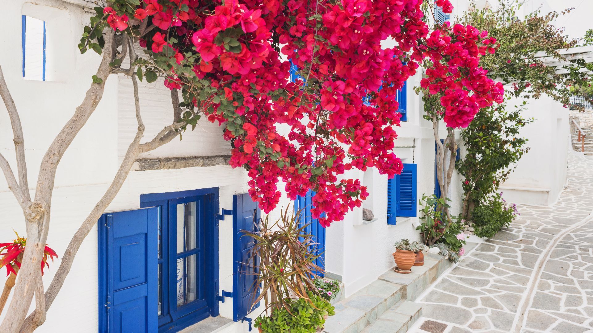 Photo of post Blue Itinerary: 7 Days in a Paros Villa, away from crowds