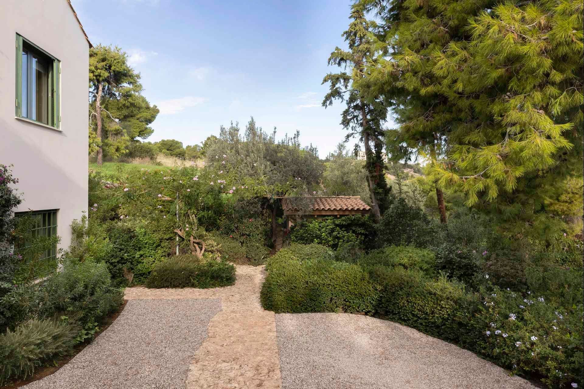 Ermionida luxury villa Arocaria in Agios Emilianos - 3