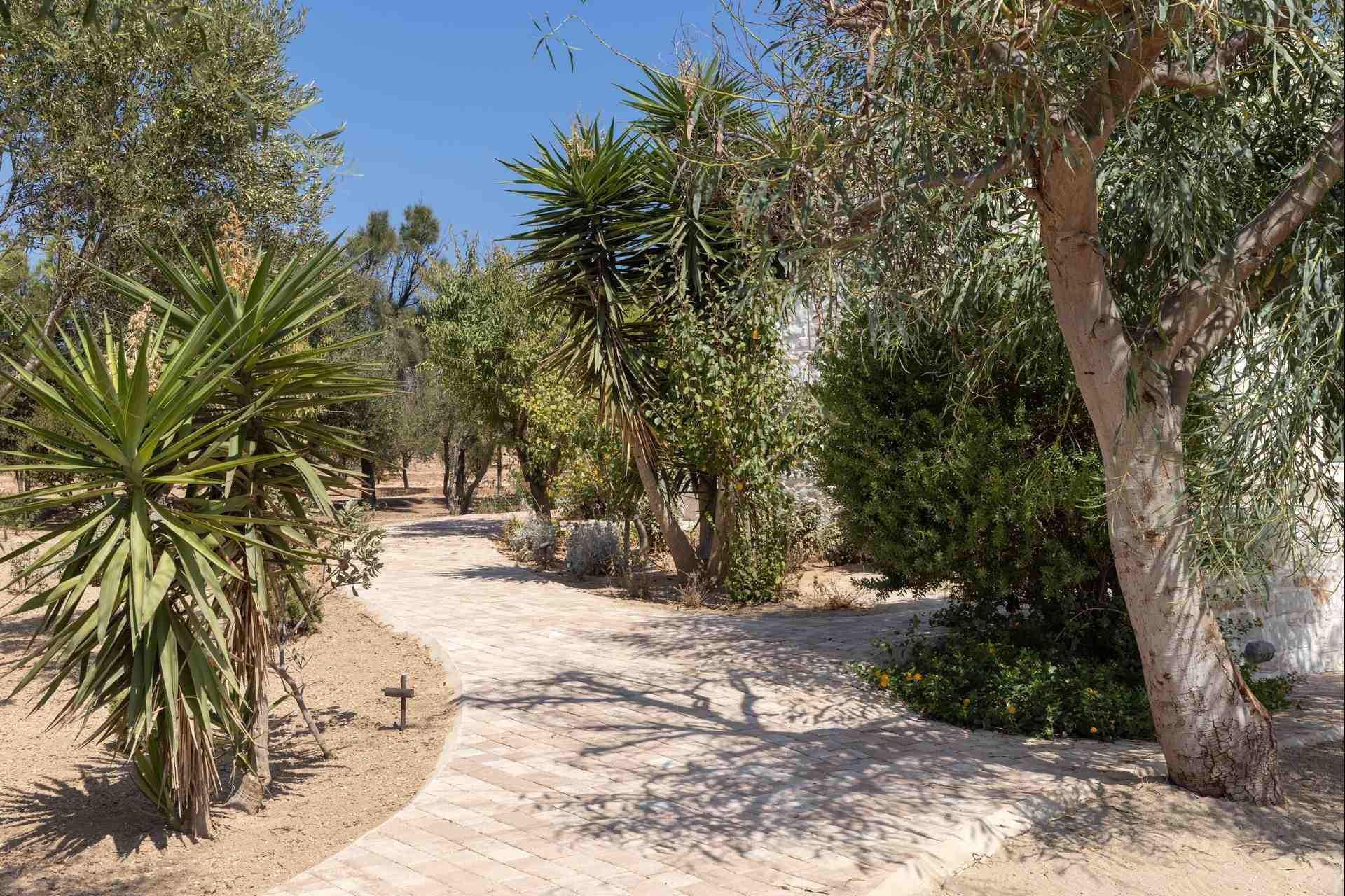 Paros luxury villa Dorothea in Santa Maria - 2